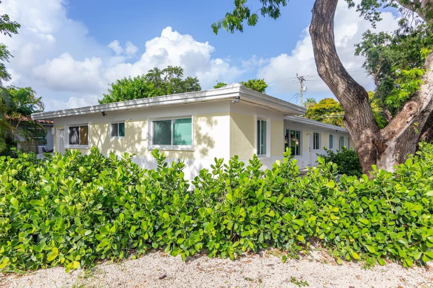 Large Stylish Studio Apartment In El Portal #3 Miami Exteriör bild