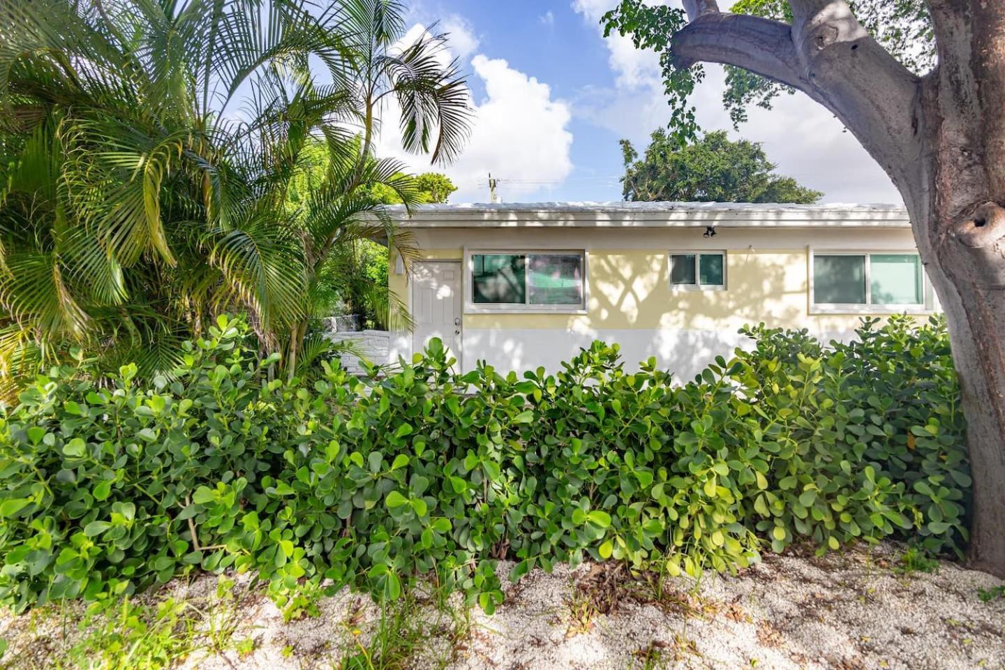 Large Stylish Studio Apartment In El Portal #3 Miami Exteriör bild